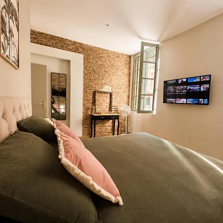 Le Pont Vieux - Premium Vue Panoramique Appartement Albi